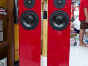 Totem Acoustic Forest รุ่นมาตรฐานที่นำมาทำสีพิเศษ